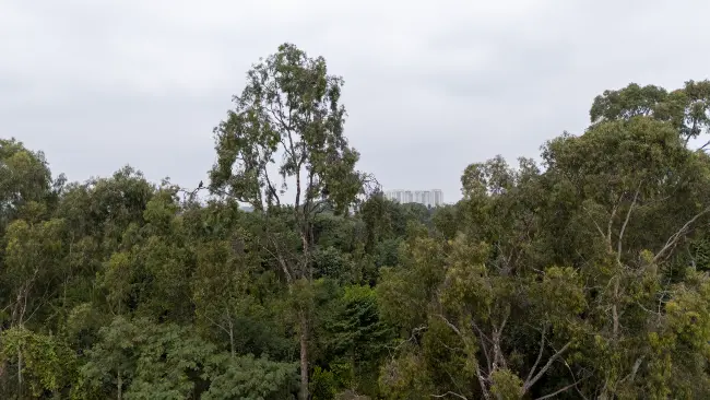 Actual View from 5th Floor