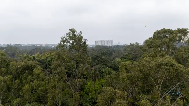 Actual View from 7th Floor