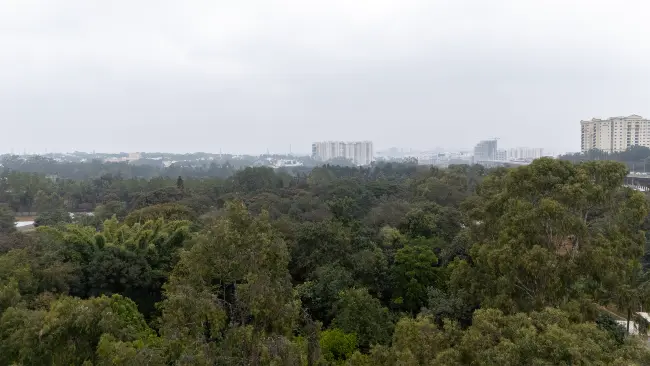 Actual View from 9th Floor